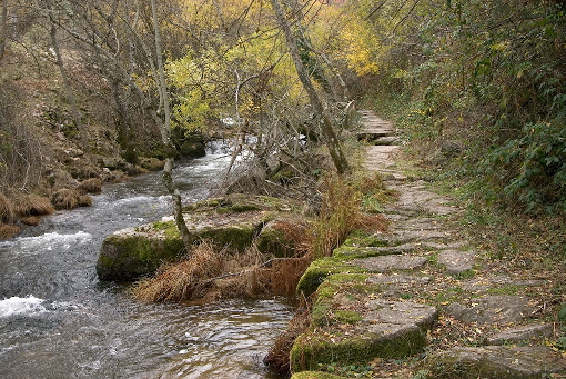 Entorno natural