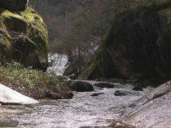 rio_cambrones