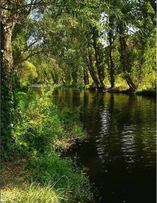 rio eresma